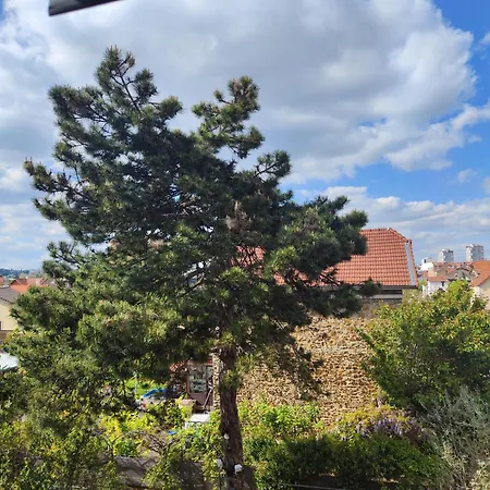 Duplex * Choisy-le-Roi